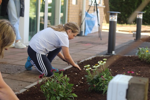 Community scheme - Norton Canes